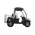 5KW Electric UTV EEC Electric Golf Cart